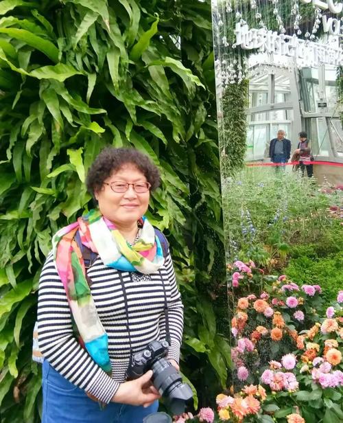 上海南枝企业管理有限公司怎么样