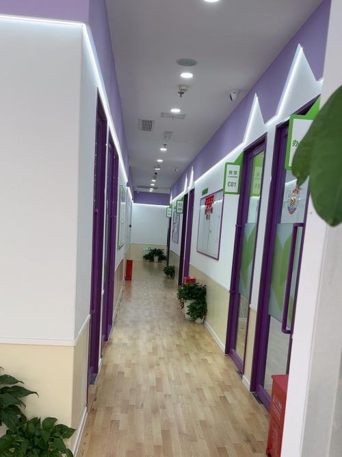 doe培训机构 北京