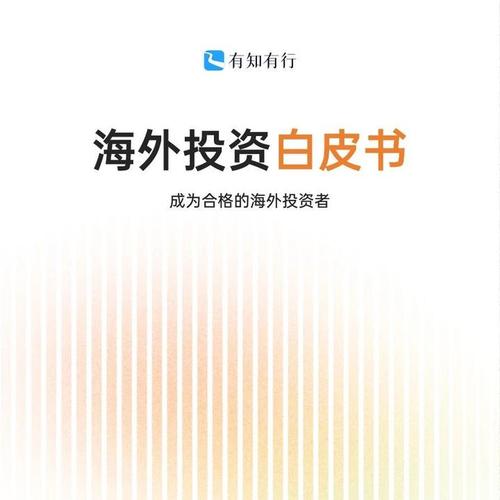 中国2025年海外投资