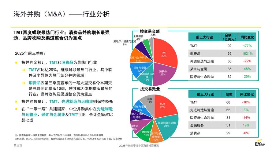 中国2025年海外投资