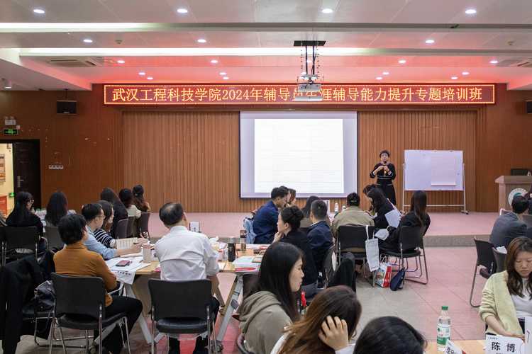 FME第四期培训培训