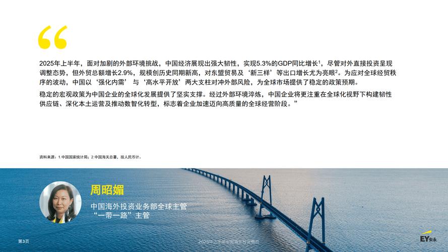 2025年中国对外投资