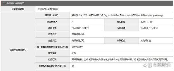 中水电海外投资有限公司