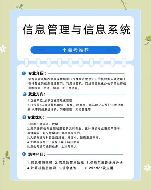 信息管理与信息系统专业学什么
