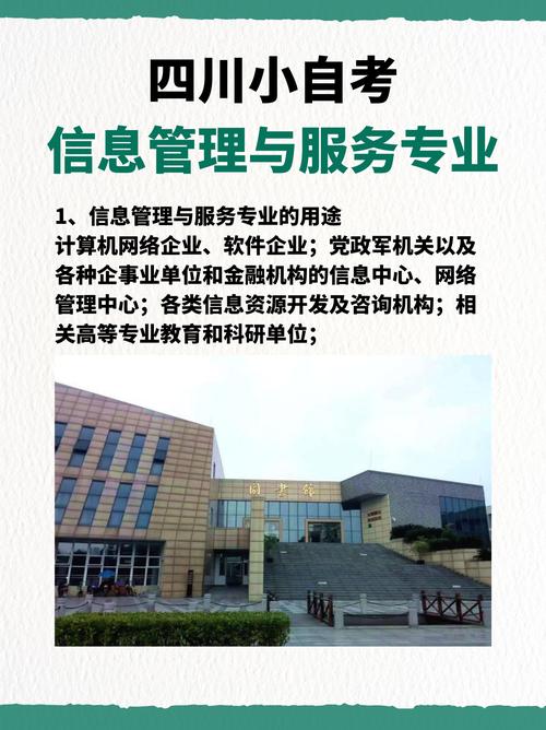 计算机信息管理专业属于什么类