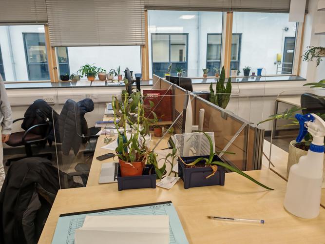 上海交通大学博士后管理办公室