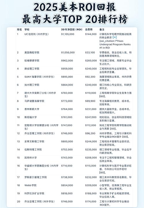 2025年投资回报率