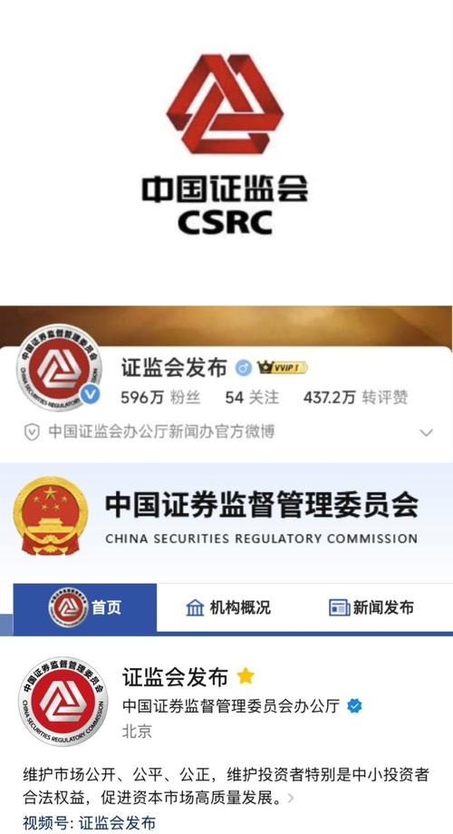 中国证监投资基金协会