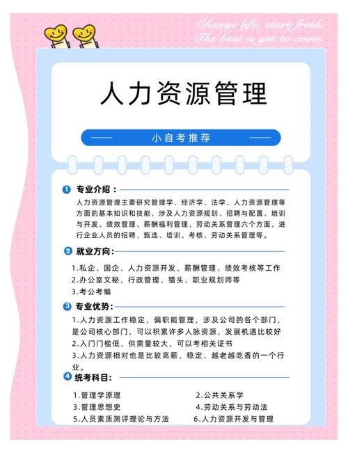 人力资源应该培训什么
