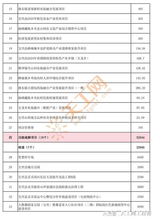 2025年小投资项目