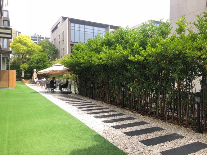 三度星和投资有限公司