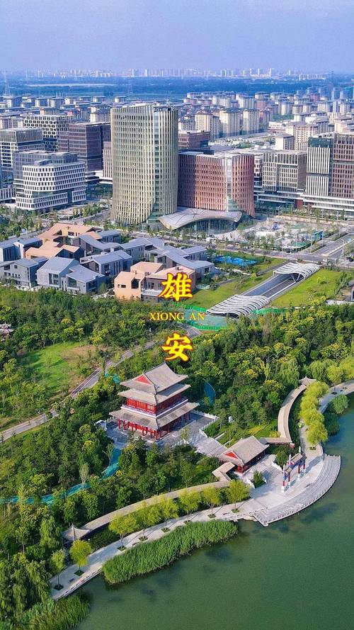 中粮地产在雄安的投资