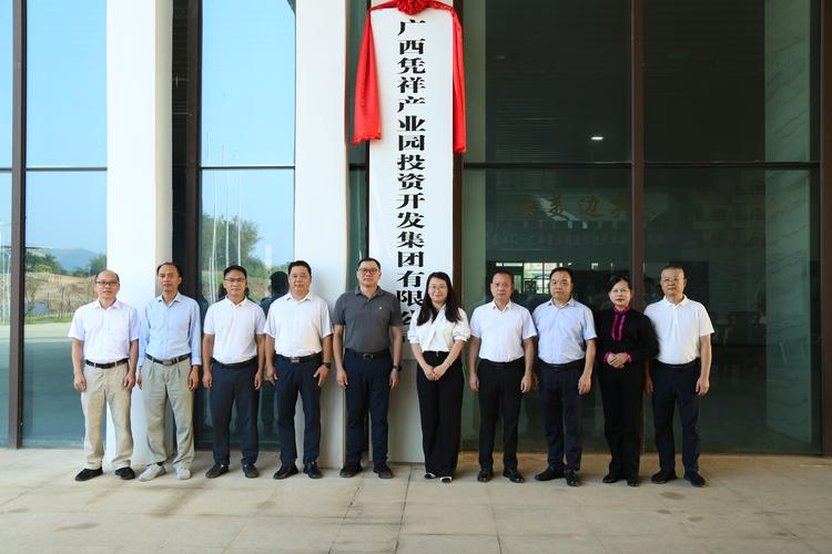 广西德融投资有限公司