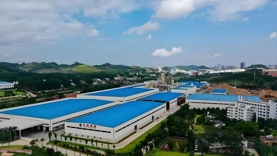 广西丽原投资有限公司