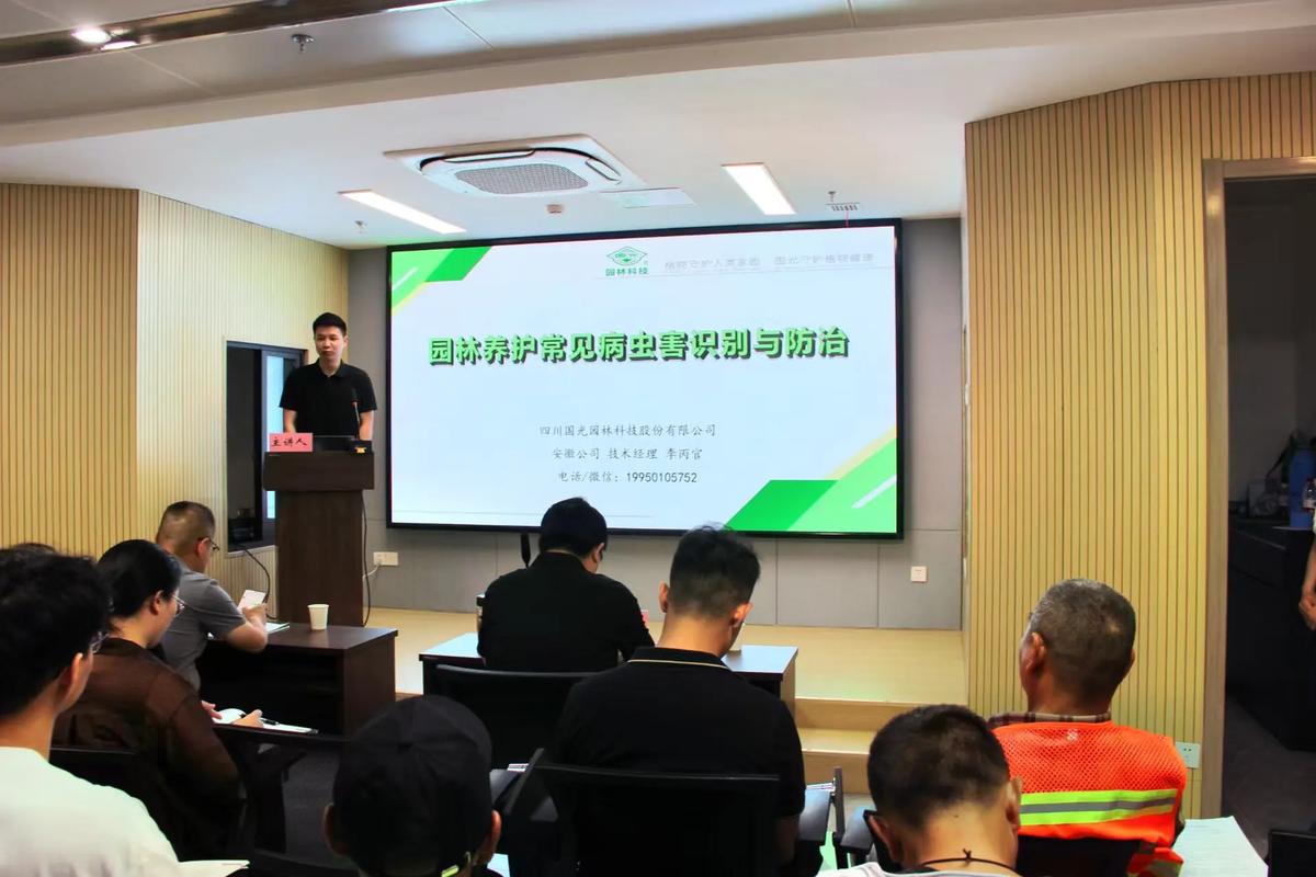 昆山iso绿带培训