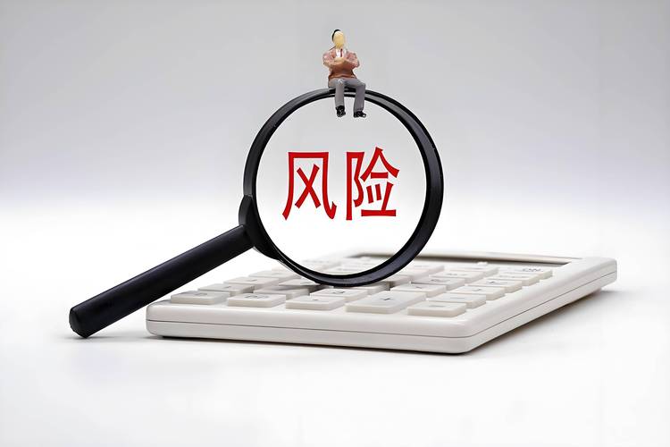 公司战略与风险管理ppt