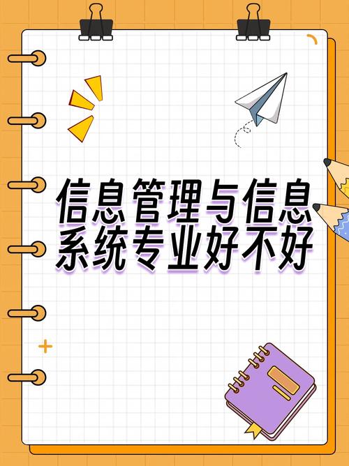 信息管理和信息系统学什么