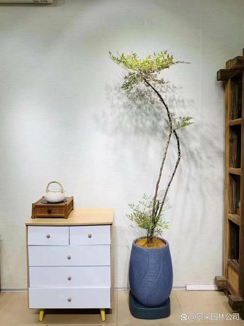 上海浩禄投资管理有限公司