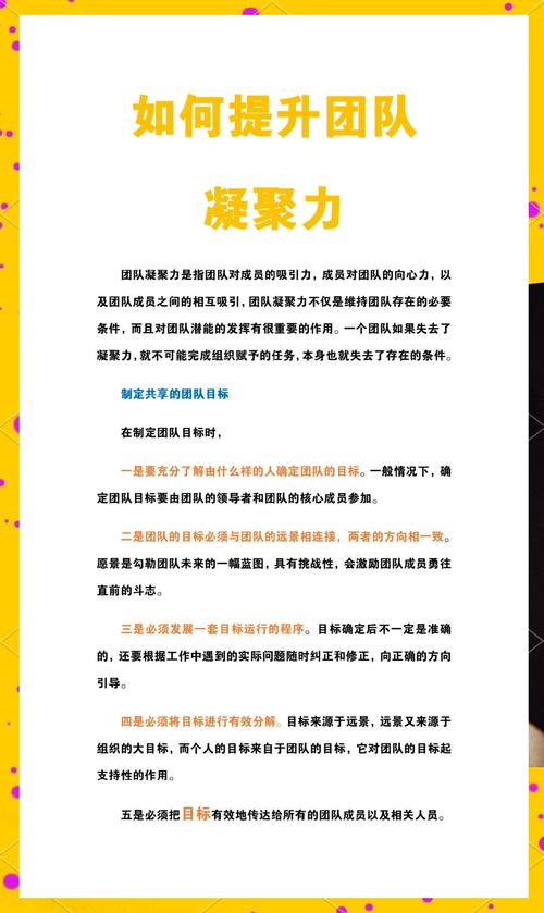如何培训团队凝聚力
