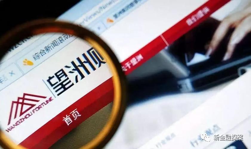 望洲财富投资管理有限公司