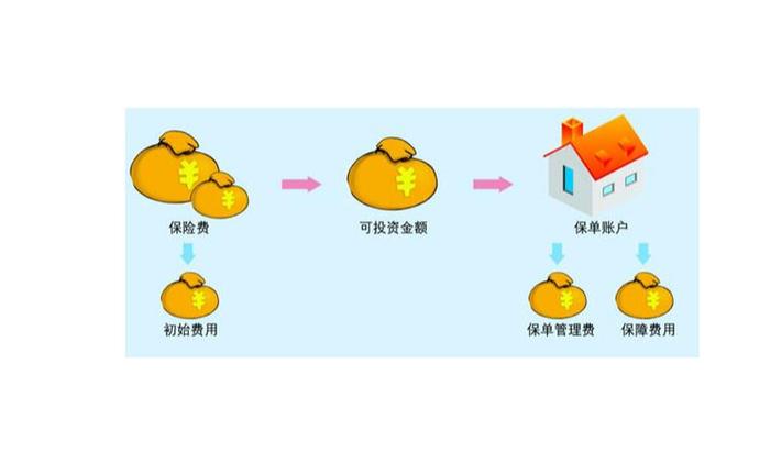 保险公司投资连结保险