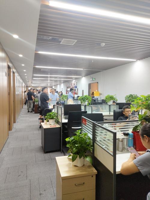 深圳大帅资产管理有限公司