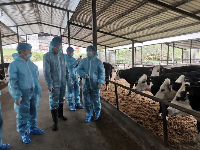 云南牛牛投资管理有限公司