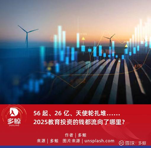 天使投资 2025年