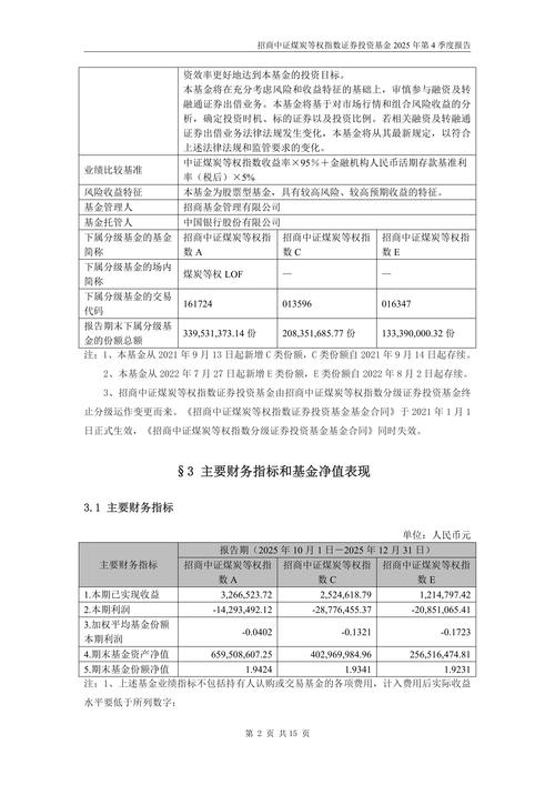 个人投资报告2025