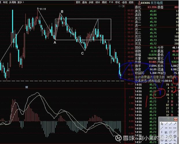 证券投资的投资和投机