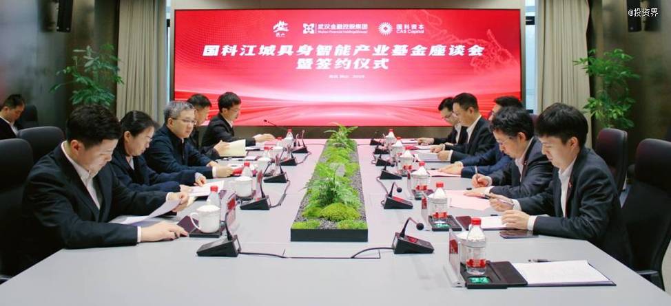 湖北高新技术产业投资