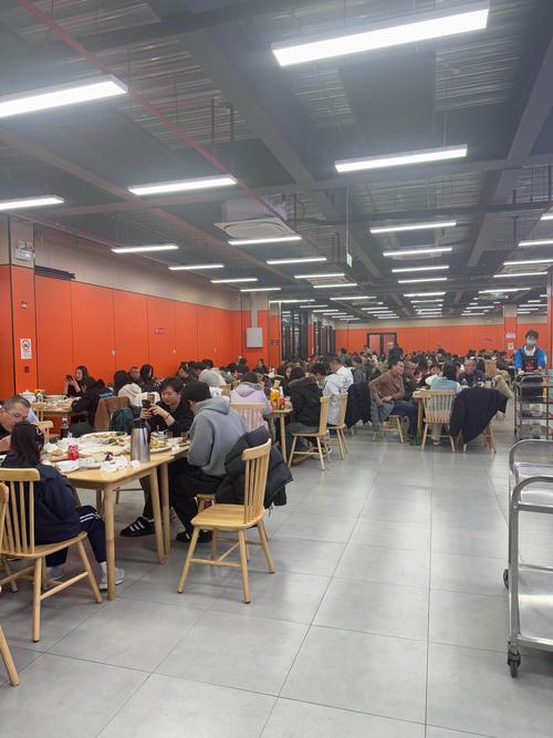 上海采华餐饮管理有限公司