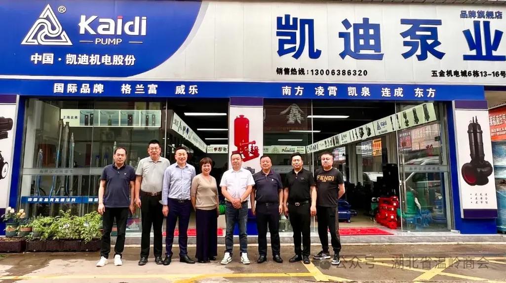 凯迪控股投资有限公司