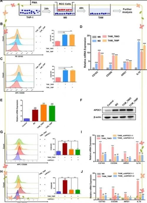 医药临床研究中的数据管理