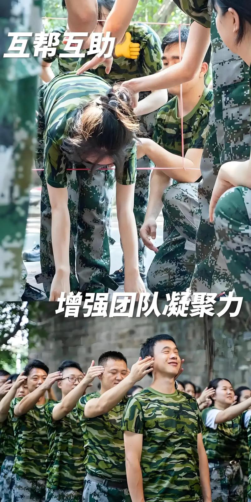 团队执行力培训视频