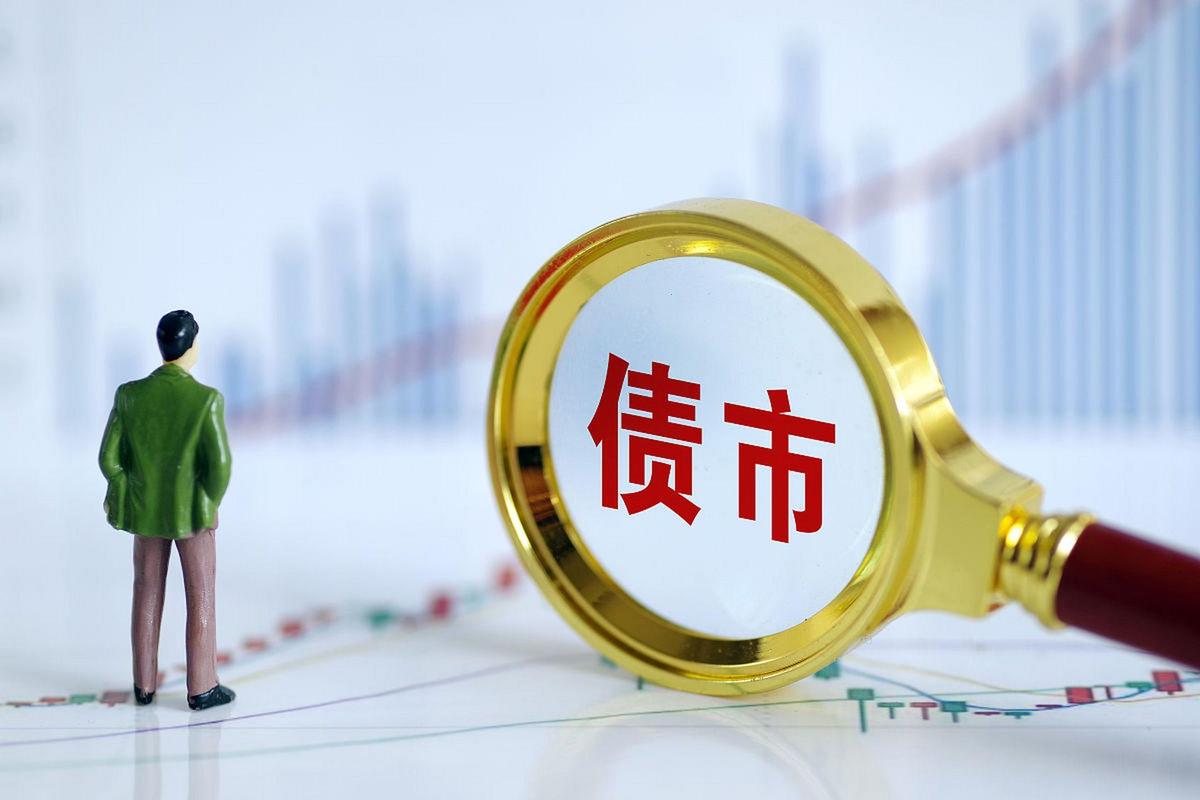 债券型基金的投资风险