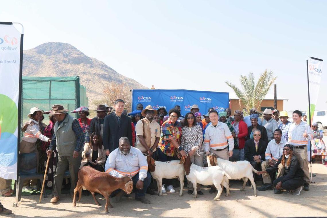 中国对非洲投资的问题