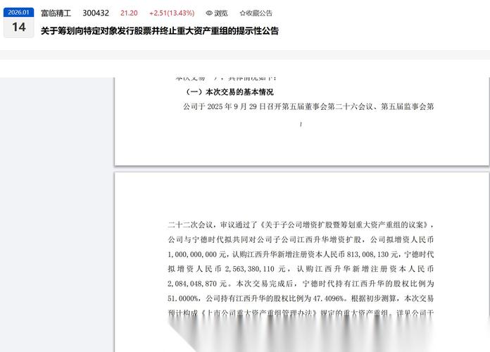 上市 引入战略投资者