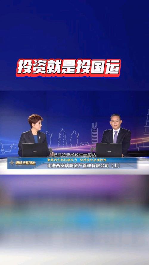 上市 引入战略投资者