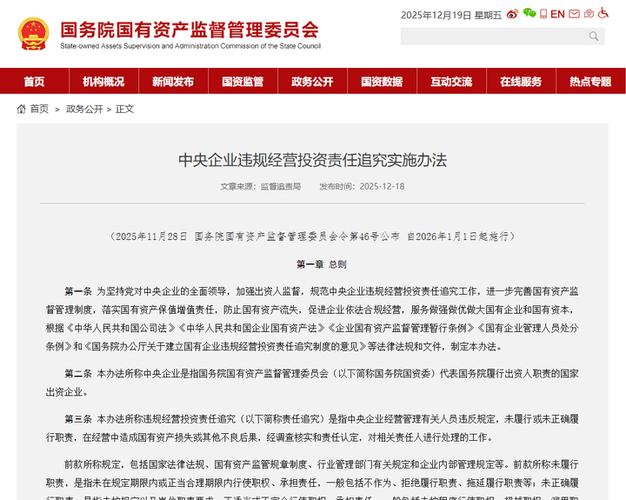 中央企业投资监督管理