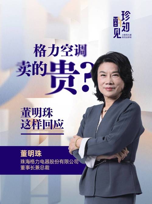 格力电器 战略投资者