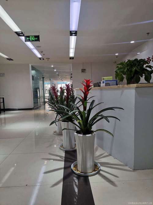 深圳融关资产管理有限公司