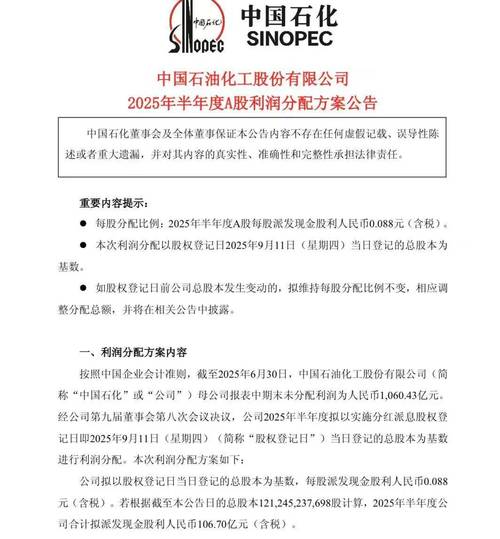 中石化 25家投资者