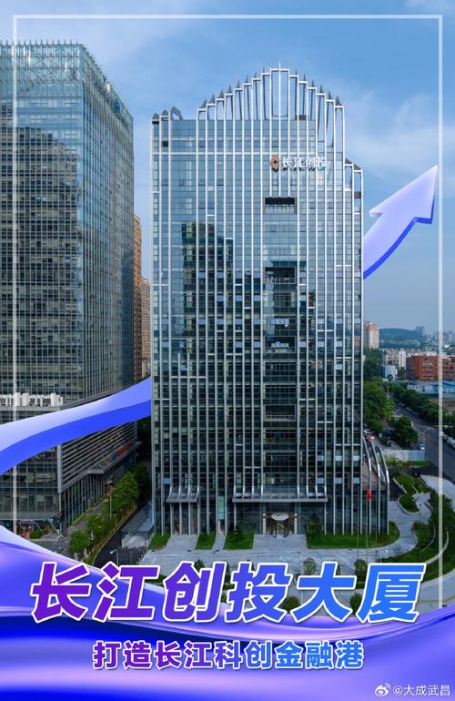 湖北长江投资有限公司