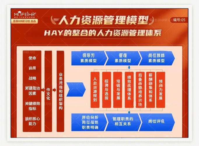 人力资源管理的未来发展