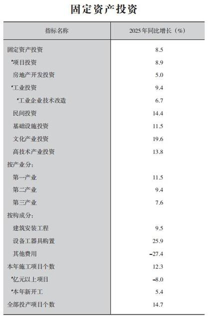 2025年 固定投资