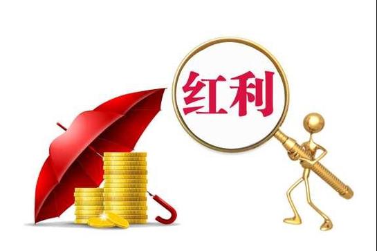 现金分红和红利再投资