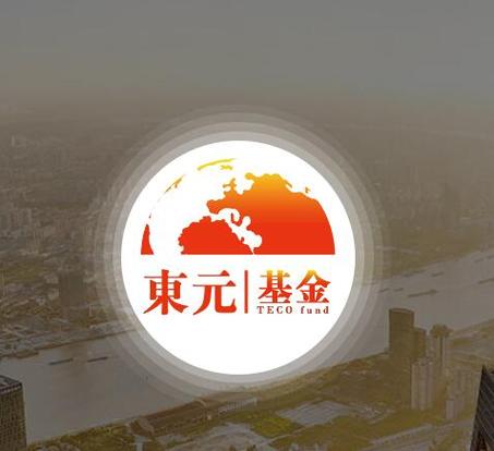 股权投资基金有限公司