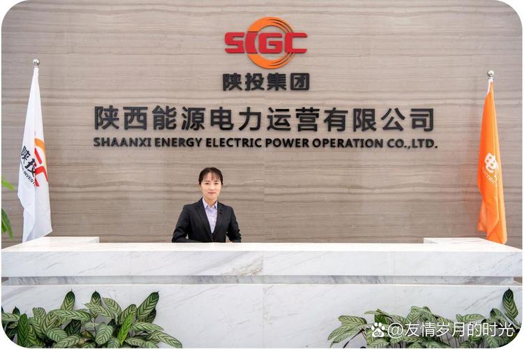 陕西 投资 有限公司