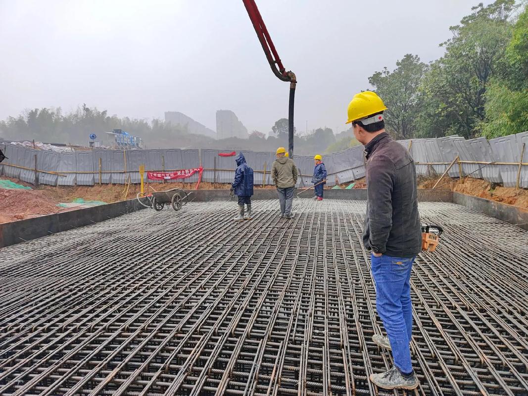 建设工程项目管理 视频